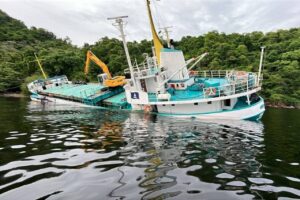 QRS Class News 1 cargo ship grounding incident environmental response